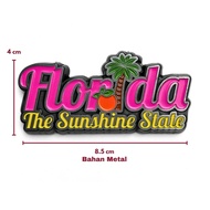 Florida Refrigerator Magnet Souvenirs, American Souvenirs