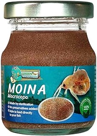 GreenWaterFarm Moina Macrocopa (Water Flea) Sterilized Jar Suitable for Feed Medium &amp; Small Fish and Newborn Fish