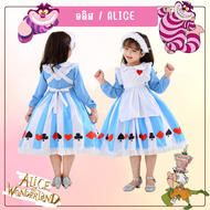 พร้อมส่งในไทย ชุดแฟนซี อลิซ (Alice) อลิซอินวอนเดอร์แลนด์ Alice in wonderland