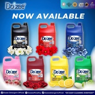 DOZEE Detergent 10kg