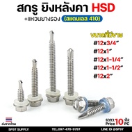 (Pack Of 10) Hexagon Washer Drilling Screw (Roofing) SUS410