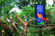 Bird Paradise bird Park cheap ticket discount promotion Adventure cove water park S.E.A Aquarium Universal Studios Madame Tussauds Wings of Time Cable Car Trick Eye Museum Zoo Night Safari River Wonder Garden by the bay Superpark Singapore Flyer Sky park