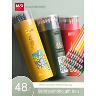 colour pencil pensil warna pensel warna Chenguang Beginner Art Dedicated Hand-Painted Coloring Lead