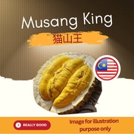 猫山王 (MSW) Fresh Durian