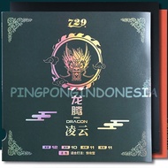 729 - Dragon Pro - Karet Rubber Pingpong Ritc Friendship Bat Bet Tenis