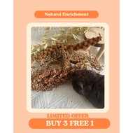 Millet Spray Foraging treats for hamster, birds, Oat, Wheat, Sorghum, Flax, Red Millet & Panicle Spr