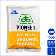 Benih Jagung Hibrida P32 Singa (1KG/5KG) - PIONEER