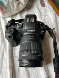 Canon R6  rf 24-105