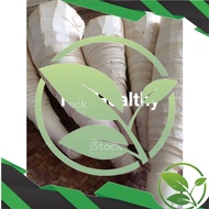 1KG Rebung Bambu Muda Asli Segar Rebung Sayur