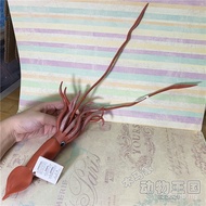 New Product Safari Genuine Giant Squid King Squid Mullet Octopus Marine Animal Model Toy212302