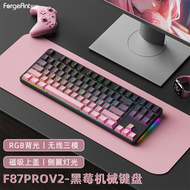 RuiYi F87Pro Mechanical Keyboard 87-Key RGB Bluetooth Wireless Three Mode Gaming Office Side- Keyboa