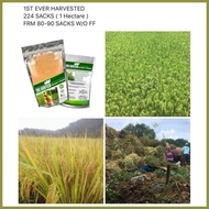 ♙ ◩ CHC Agritech FARMERS FRIEND