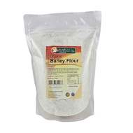 Health Paradise Organic Barley Flour (500g)