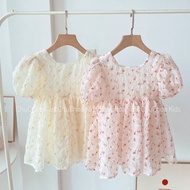 Baby Girl Dress, 2-Layer Princess Baby Girl Dress for Children 1-5 Years Old
