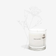 Maison Louis Marie｜香氛蠟燭─果然茉莉 Antidris Jasmine