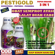 Obat Hama Lalat Buah Cabe Paling Ampuh PESTIGOLD Obat Semprot Alami Anti Lalat Buah Cabe Cabai MURAH