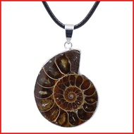 Conch Shell Necklace Natural Stone Ammonite Fossils Snail Pendant Necklace Seashell Mineral Specimen