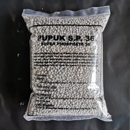 TERLARIS Pupuk Fosfor-Phospate SP-36 1 kg