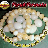 Portable ♘Gelang Batu Akik Mani Gajah⊿