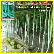 Long Chinese Snake Gourd Seed - 5 Seeds Giant Long Variety Python Snake Bean Seeds for Planting Vege