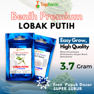 Benih Topfarm / Benih Lobak Putih Terbaik / Benih Lobak Putih Jumbo / Benih Lobak Putih White Boy / 
