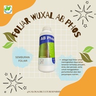 1L/5L BAJA FOLIAR AGROBRIDGE WUXAL AB PHOS MENINGKATKAN DAYA TAHAN TANAMAN TERHADAP PENYAKIT