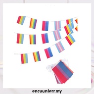 [encounterr.my] Rainbow flag gay flag gay polyester string flag 5m (4 patterns flag size 1