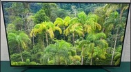 Sony 75inch 75吋 75BZ75F 4K Android Smart TV 智能電視