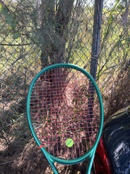Wilson Blade 98 v10