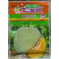 Benih Rock Melon Hibrid MERLIN F1 Bintang Asia (20gm)