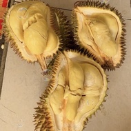 Durian Montong Palu Utuh Berkualitas