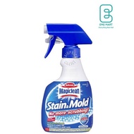 Magiclean Bathroom Stain Mold Remover
