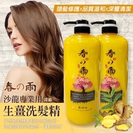 台灣🇹🇼春之雨無矽靈生薑洗髮精1000ml