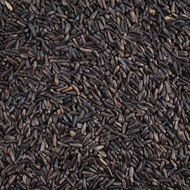 Nigerseed Niger Seed 1Kg Biji Niger Pakan Burung