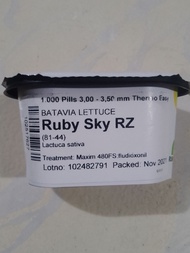 RUBY SKY RZ BATAVIA LETTUCE SEEDS (1000PILLS)BY RIJK ZWAAN