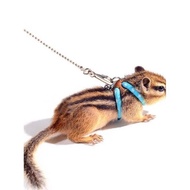 Squirrel Training Hamster Chain Traction Rope Walking Bend My Neighbor Totoro Pet Extended Guinea Pi