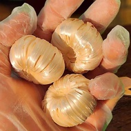 Tang Gua Zhan Malt Sugar Hollow Stove Candy Ding Ding Candy Old-Fashioned Maltose Snack Pumpkin Cand