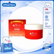 YUKINOUE 雪之上 All-in-One Gel 80g | Dry Skin Moisturizing Gel Cream Skin Care