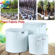 [H&L Dec] Round Fabric Pots Grow Bags Plant Pouch Root Container Cultivation Pot Planting Grow Bag {