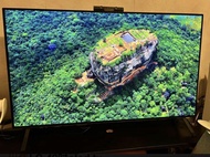LG A2 OLED 48 inch TV