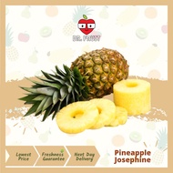 Pineapple Josephine 1pc | Dr.fruit  /Nanas 水晶黄梨