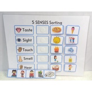 5 Senses Sorting Busy Book Laminated Activity for Childrens Learning Material
