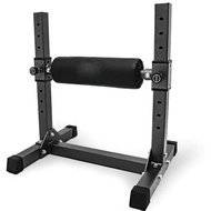 AMB Sports Bulgarian Split Squat Stand & Leg Roller Attachment