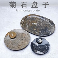 Natural Moroccan Ammonite Ancient Ocean Ocean Chronicle Fossil Specimen Decoration Plate Decoration 
