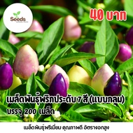 7-Color Ornamental Chili Seeds (Round Type) Contains 200 Seeds/Pack