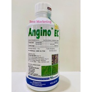 1LIT ANGINO EC ADVANSIA / Sofit / Padi Angin