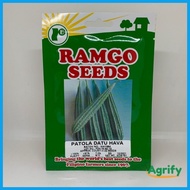 ♂ Patola Seeds Datu Hava 32 Seeds ramgo binhi