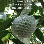 2021For New Material High Quality Fruit Net Cover Guava Guava Bag Special Bag Insect-Proof Bag Agric