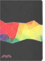 NIV Rainbow Study Bible ― New International Version, Kaleidoscope Black, LeatherTouch