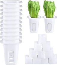 50 Sets of Hydroponic Garden Growing System Accessories Includes 50 Planting Baskets 50 Plant Growth Sponges Compatible with Most Hydroponic Garden Planting Systems